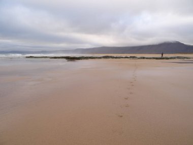 İzlanda 'da güzel bir plajda panorama
