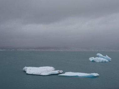 Jokulsarlon Buzul Gölü, İzlanda
