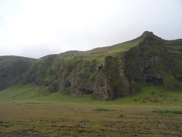 Campo Lava Islanda Che Copre Muschio Verde Islanda — Foto Stock