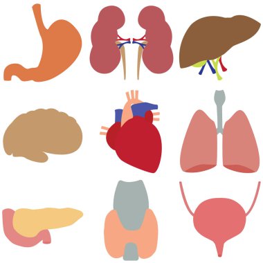 Yalıtılmış bir arka plan üzerinde vektör seti oragnov adam