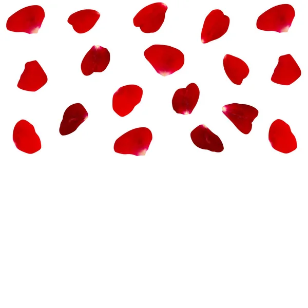 Şenlikli bir tema üzerinde vektör tebrik kartı.