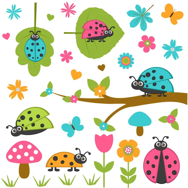 Böceklerin vektör kümesi.