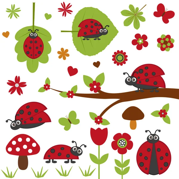 Böceklerin vektör kümesi.