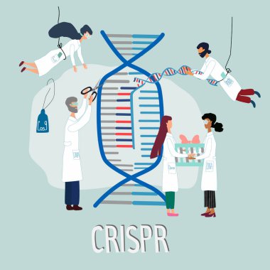 Scientists illustrated how CRISPR CAS9  works. Gene editing tool research . Hand drawn genome sequencing and genetic engineering concept in vector. Human genome project. clipart