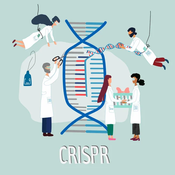 Os cientistas ilustraram como funciona o CRISPR CAS9. Pesquisa de ferramentas de edição de genes. Sequenciamento genômico desenhado à mão e conceito de engenharia genética em vetor. Projecto genoma humano . —  Vetores de Stock