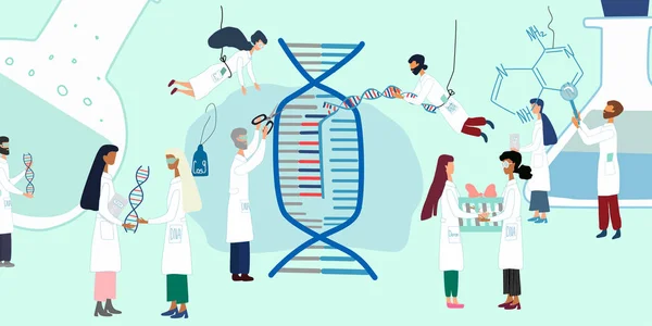 Cientistas explorando pelo projeto genoma humano. CRISPR- Cas9. Sequenciamento de genoma, pesquisa, conceito de engenharia genética. Conjunto grande para cartaz, artigo, banner, publicidade —  Vetores de Stock