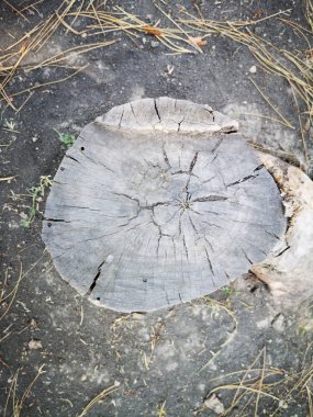 Çatlak ve toz ile eski saplama