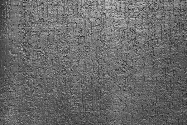 Gray plaster wall. Bark beetle pattern. — Stock Image Gray Plaster Wall Bark Beetle Pattern Royalty Free Stock Images