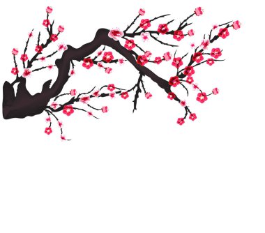 Kiraz çiçeği vektör için Çin yeni yılı ve orta Sonbahar Festivali