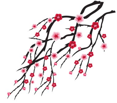 Kiraz çiçeği vektör için Çin yeni yılı ve orta Sonbahar Festivali