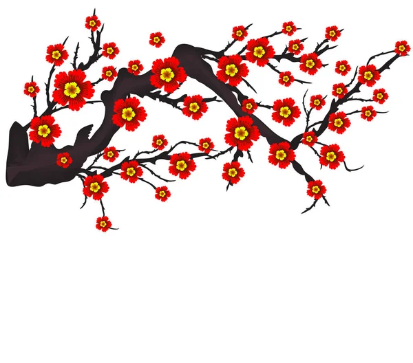 Векторний Цвітіння Вишні Китайський Новий Рік Середини Осені Фестиваль — стоковий вектор