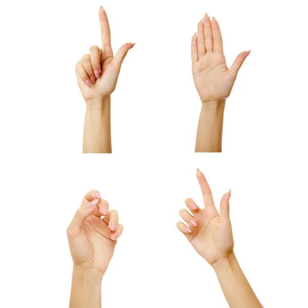 Beyaz arka planda izotize edilmiş bir el bir şeyi tut