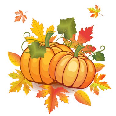 Bahçede sonbahar balkabağı