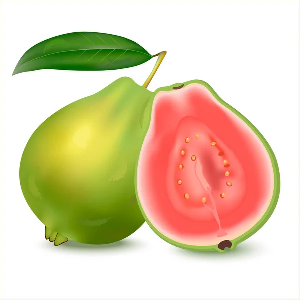 Taze ve yarım guava yapraklı veya Psidium guajava, beyaz arka planda izole. Kan basıncını düşürebilir ve kolesterolü arttırabilir, vücut bağışıklığını arttırabilir, sindirim sistemini başlatabilir.