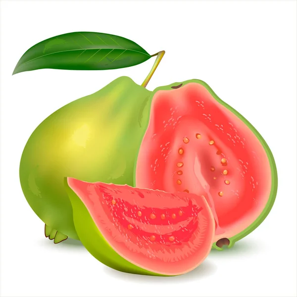 Illustrazione Guava Realistica Guava Fresca Intera Con Foglie Mezza Guava — Foto Stock