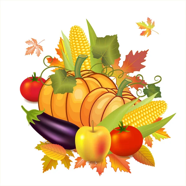 Богатый Урожай Осенью Тыквы Баклажаны Яблочные Помидоры Ухо Кукурузы — стоковое фото