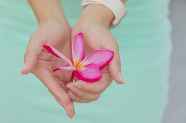 Plumeria, Kutrov familyasının tropikal ağaç cinsi..