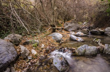 Yürüyüş parkuru Los Cahorros de Monachil (Granada) sonbaharda. Monachil Nehri'nin yanında oyulmuş etkileyici bir geçit. Bu şelaleler, mağaralar ve asma köprüler ile tekil güzellik bir yerdir.