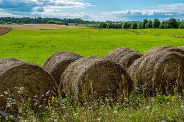 Güneşli bir günde saman yığını olan yeşil kırsal bir arazinin manzarası.