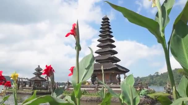 Kleurrijke Bloemen Naast Het Meer Van Ulun Danu Beratan Tempel — Stockvideo