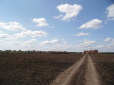 Bulutların altındaki yol. Yanmış tarladan geçen yol.