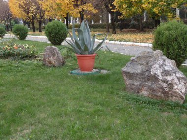 Çiçekli sokak. Sokakta yapay dekor.