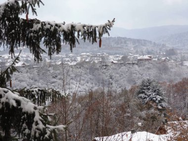 Yeşil ağaçlardaki ilk kar. Küçük bir köyde ilk kar.