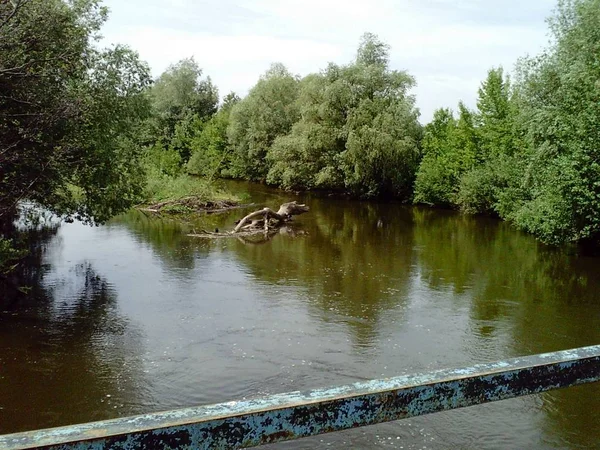 Floden Med Gröna Träd Stranden Flod Med Lite Trängsel — Stockfoto