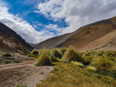 Şili atacama çöl manzarası