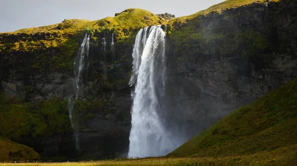 Seljalandsfoss Island Wasserfall fällt von den Klippen — Stockfoto