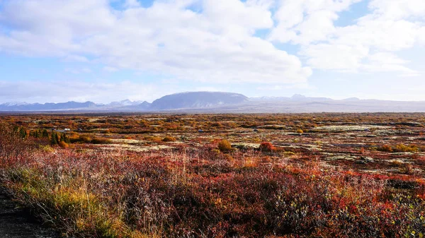 Islandblick über die Felder — Stockfoto