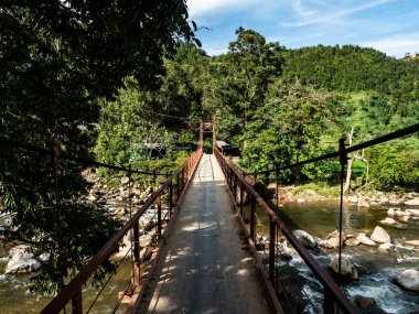 Junge Vietnam Sapa eski Brigde