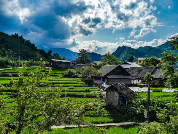 Vietnam Sapa Rice alanları görünümü
