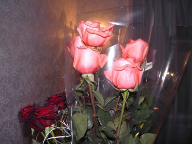 Beyaz ve pembe gül buketi