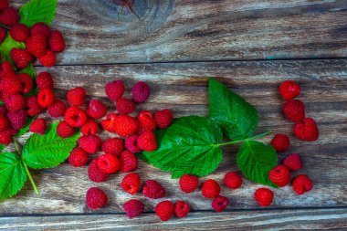 Peduncles ile doğal olgun organik çilek, yeşil yaprakları, üst görünümü.