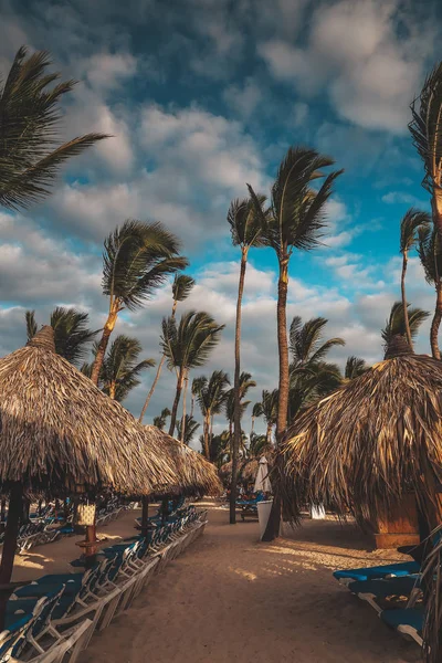 Praia com espreguiçadeiras, guarda-chuvas e palmeiras . — Fotografia de Stock