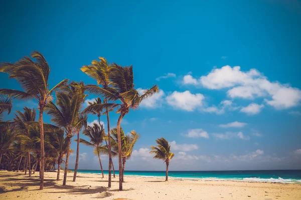 Praia tropical como uma natureza selvagem — Fotografia de Stock