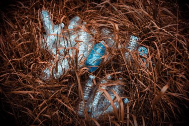 Kurutulmuş çimenlerde plastik şişeler. Doğal çevrede sorun