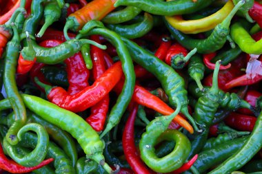 Organik, taze acı biber. Ekolojik doğal sebze geçmişi