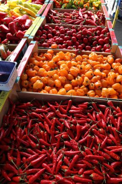 Ekolojik, doğal yetiştirilmiş sebzeler. Organik, taze taze biber.