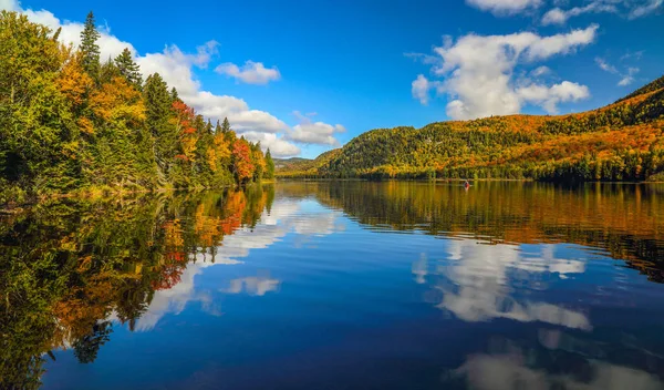 Panorama de un hermoso bosque en otoño, un paisaje escénico con —  Fotos de Stock