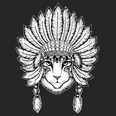 Yerli kedi geleneksel etnik Hint boho headdress kabile şaman şapka tören öðenin görüntü