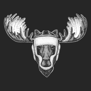 Atletik hayvan Moose, elk boks şampiyonu. Yazdır t-shirt, amblem, logo için. Dövüş sanatları. Avcı ile vektör çizim. Spor Yarışması.