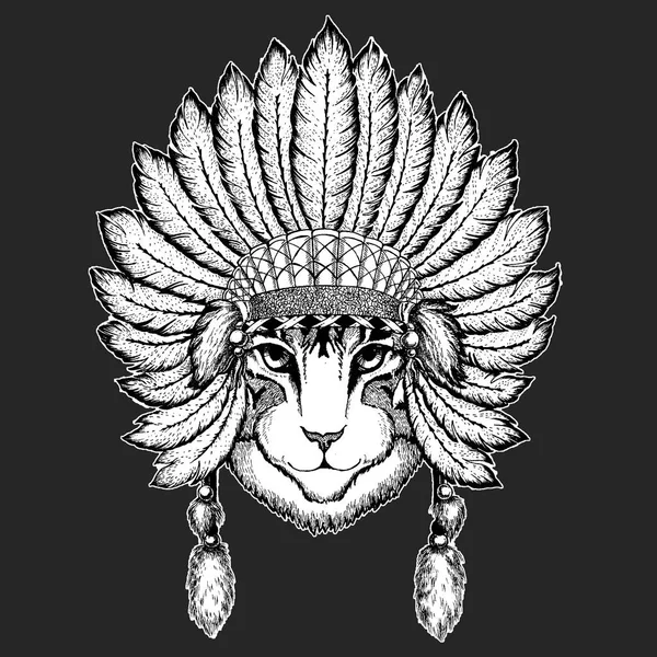 Yerli kedi geleneksel etnik Hint boho headdress kabile şaman şapka tören öðenin görüntü