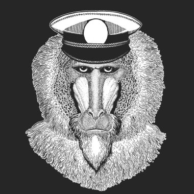 Maymun, maymun, köpek-maymun, maymun vektör yazdırma çocuklar için. Capitan, korsan hayvan. Cesur denizci. Anaokulu için tasarım, Çocuk giyim, t-shirtler okul.