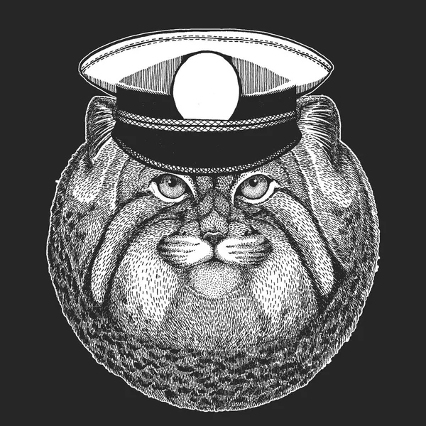 Wildkatze manul Vektor-Druck für Kinder. Kapitan, Piratentier. tapferer Matrose. Design für Kindergarten, Schulkleidung, T-Shirts. — Stockvektor