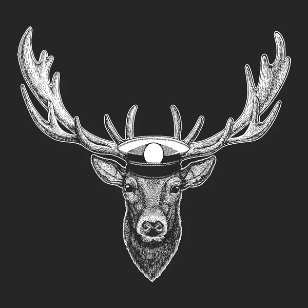 Geyik vektör çocuklar için yazdırma. Capitan, korsan hayvan. Cesur denizci. Anaokulu için tasarım, Çocuk giyim, t-shirtler okul.