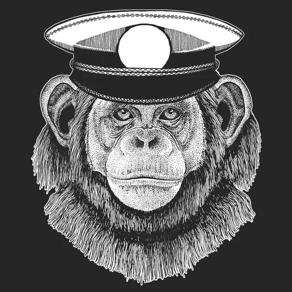 Schimpans, Monkey vektor print för barn. Capitan, pirat djur. Modiga sjöman. Design för dagis, skola barn kläder, t-shirts. — Stock vektor