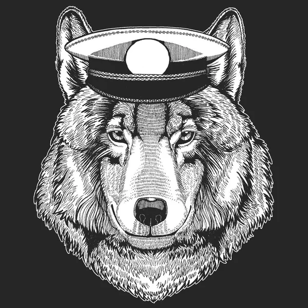 Wolf, dog Vector print for children. Capitan, pirate animal. Brave sailor. Design for kindergarten, school kids clothing, t-shirts. — Stock Vector