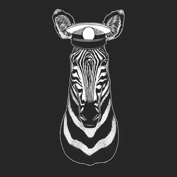 Zebra, paard Vector afdrukken voor kinderen. Capitan, piraat dier. Dappere matroos. Ontwerp voor de kleuterschool, school kids kleding, t-shirts. — Stockvector